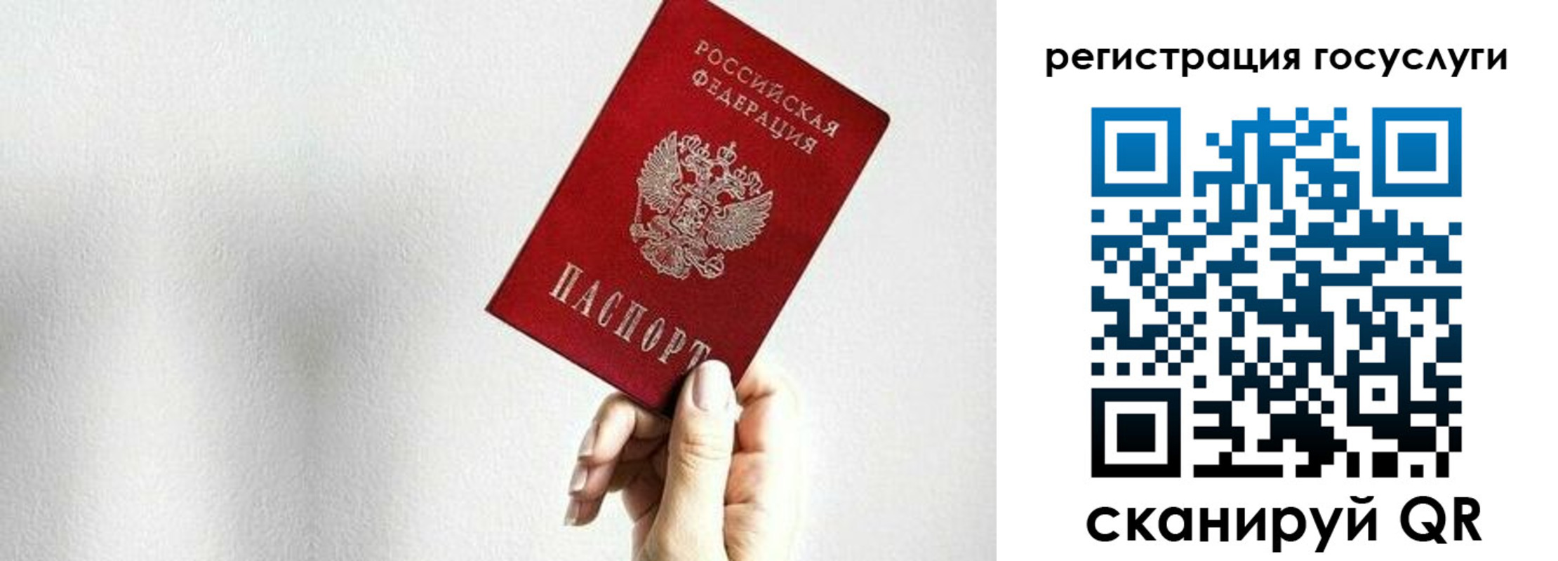 прописка гарантия в Липецкая области